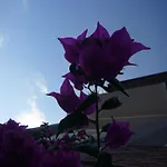 La Tripergola Hotel Pozzuoli